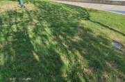 AC米兰- 维罗纳主场草皮质量遭批，极端天气致多场比赛延期  